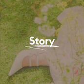 Story